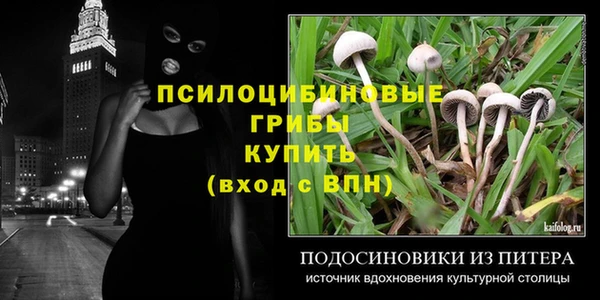 гидра Абаза