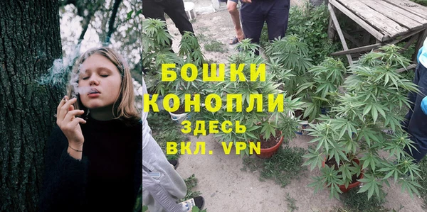 гидра Абаза