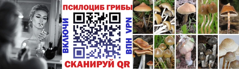 Псилоцибиновые грибы прущие грибы  Торжок 